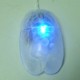BRAIN SHAPE COMPUTER MOUSE with Light.