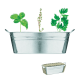 ZINC TUB with 3 Herbs Seeds in Silver.