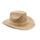 NATURAL STRAW COWBOY HAT in Brown.