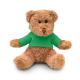 TEDDY BEAR PLUS with Hooded Hoody in Green.