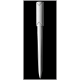 LETTER OPENER in Silver.