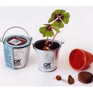 MINI ZINC BUCKET GROWING KIT