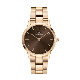 WATCH ICONIC LINK AMBER RG&BROWN D36.