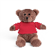 BEAR PLUSH TEDDY BEAR in a Tee Shirt in Red.