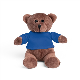 BEAR PLUSH TEDDY BEAR in a Tee Shirt in Royal Blue.