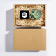 CANDLE AND PLANT HAMPER in a Plain Box.