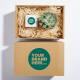 CANDLE AND PLANT HAMPER in a Printed Box.