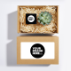 CANDLE AND PLANT HAMPER in a Full Colour Label Box.