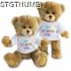 PRINTED PROMOTIONAL SOFT TOY CHARLES TEDDY BEAR.