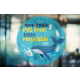 RECYCLABLE WINDOW STICKER (PET) in Clear Transparent.