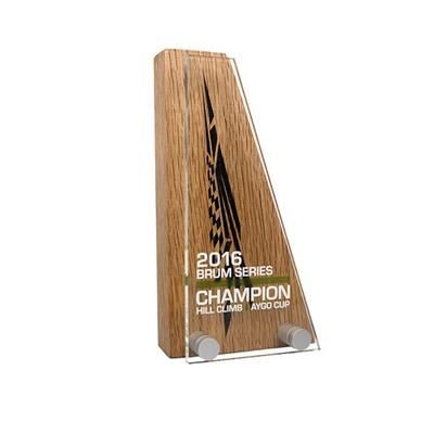 REAL WOOD BLOCK AWARD with Acrylic Front.
