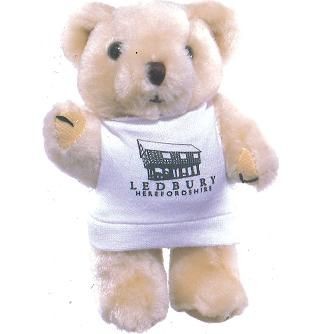 HONEY BEAR with Printed Tee Shirt.