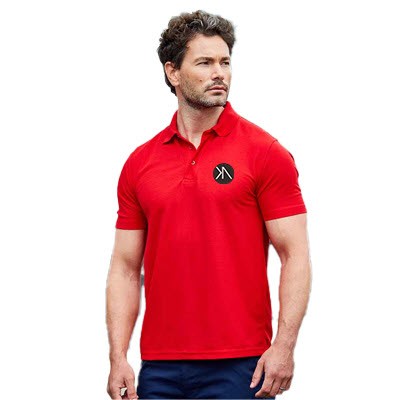 Picture of EMBROIDERED POLYESTER MENS POLO SHIRT.