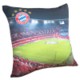 Picture of PRINTED MICROFIBRE PILLOW COVER AND INFILL