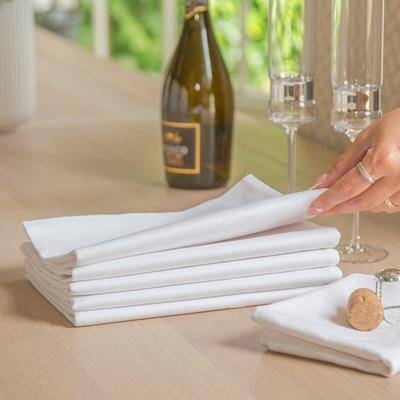 Picture of AZTEX PLAIN COTTON TEA TOWEL in White.