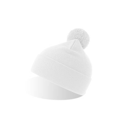 Picture of WIND-S BEANIE with Pompom