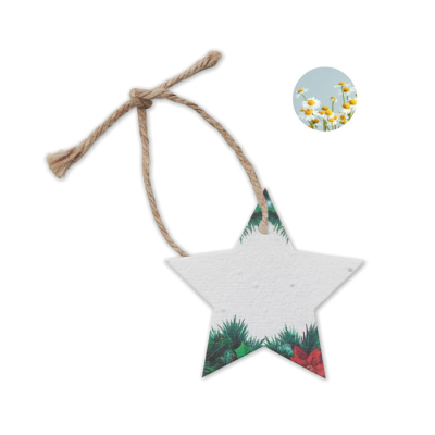 Picture of SEEDS PAPER XMAS ORNAMENT