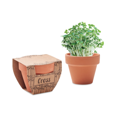 Picture of TERRACOTTA POT CRESS SEEDS in Brown.