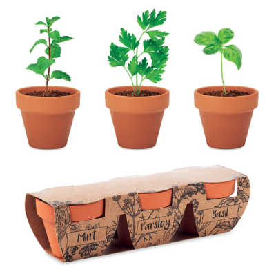 Picture of TERRACOTTA 3 HERB POT SET in Brown