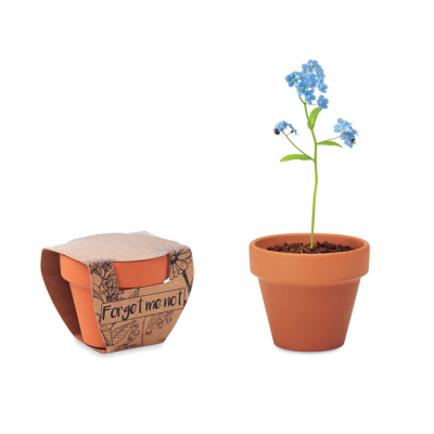 Picture of TERRACOTTA POT FORGET ME NOT in Brown