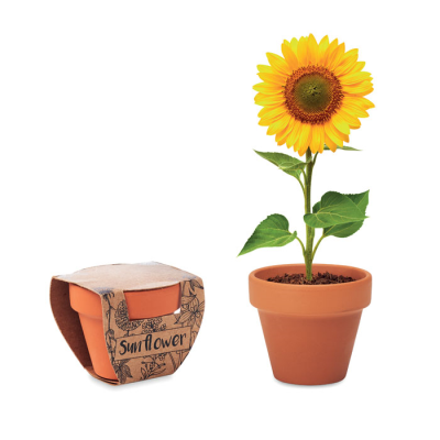 Picture of TERRACOTTA POT SUNFLOWER in Brown.