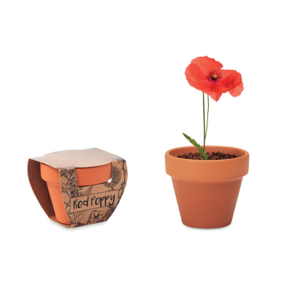 Picture of TERRACOTTA POT POPPY in Brown.