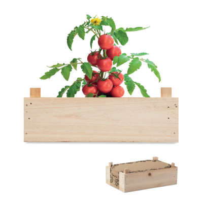 Picture of TOMATO KIT in Wood Crate