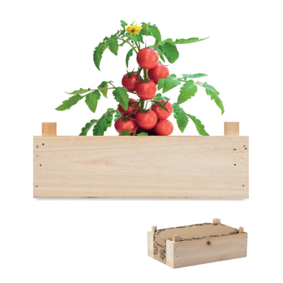 Picture of TOMATO KIT in Wood Crate in Brown