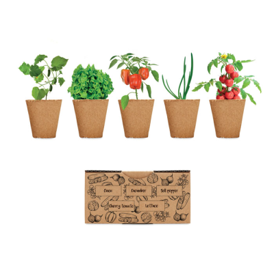 Picture of SALAD GROWING KIT