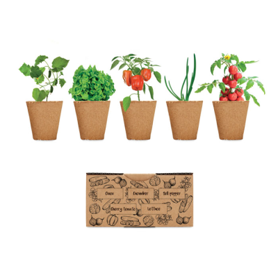 Picture of SALAD GROWING KIT in Brown.