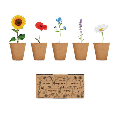 Picture of FLOWERS GROWING KIT