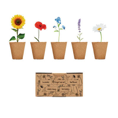 Picture of FLOWERS GROWING KIT in Brown