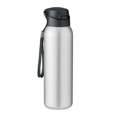 Picture of DOUBLE WALL BOTTLE 580 ML in Silver.