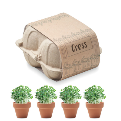 Picture of EGG CARTON GROWING KIT in Brown.