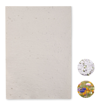 Picture of A4 WILDFLOWER SEEDS PAPER SHEET in White