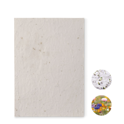 A5 WILDFLOWER SEEDS PAPER SHEET in White.