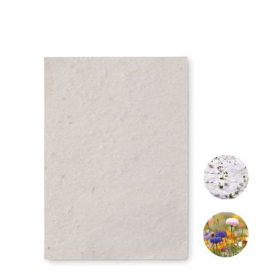 Picture of A6 WILDFLOWER SEEDS PAPER SHEET