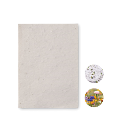 Picture of A6 WILDFLOWER SEEDS PAPER SHEET in White