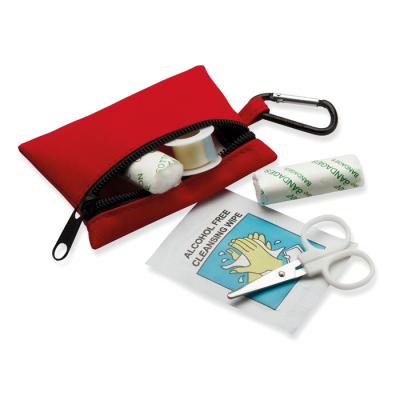 Picture of FIRST AID KIT W &  CARABINER