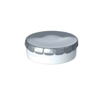 Picture of SUGAR FREE MINTS BOX 12 GR in Silver.