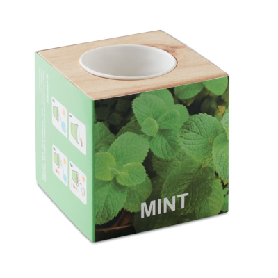 Picture of HERB POT WOOD MINTS in Brown