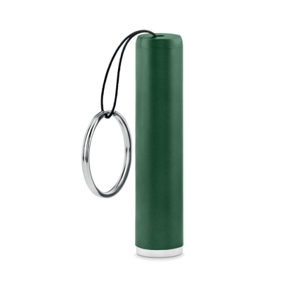 Picture of PLASTIC LIGHT UP LOGO TORCH in Green