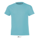 Picture of REGENT FIT CHILDRENS TEE SHIRT 150 in Blue