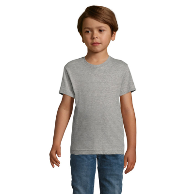 Picture of REGENT F CHILDRENS TEE SHIRT 150G in Grey.