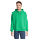 Picture of STELLAR UNISEX HOODED HOODY SWEAT in Green