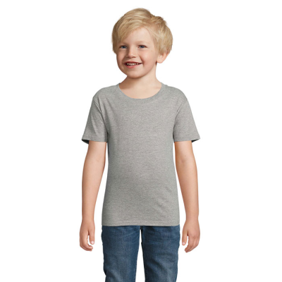 Picture of PIONEER CHILDRENS TEE SHIRT 175G in Grey.