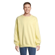Picture of COLUMBIA UNISEX SWEATSHIRT in Yellow