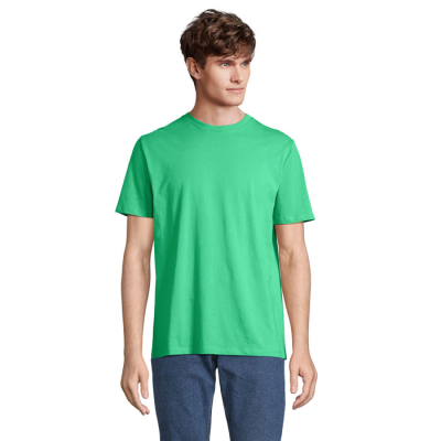 Picture of LEGEND TEE SHIRT ORGANIC 175G in Green.