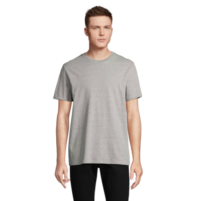 Picture of LEGEND TEE SHIRT ORGANIC 175G in Grey