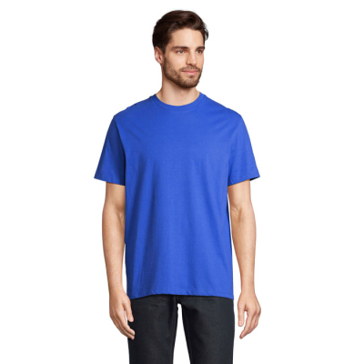 Picture of LEGEND TEE SHIRT ORGANIC 175G in Blue.